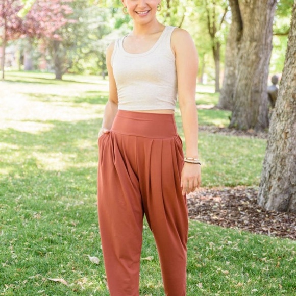 Motive Small NWT Slouch Joggers🧡 - Picture 1 of 8